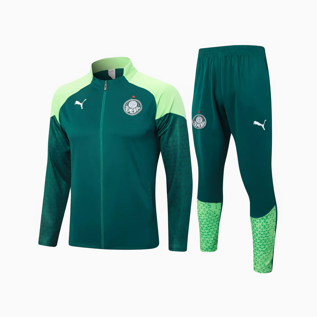 CONJUNTO DE TREINO PALMEIRAS 2024/25 I – MASCULINO