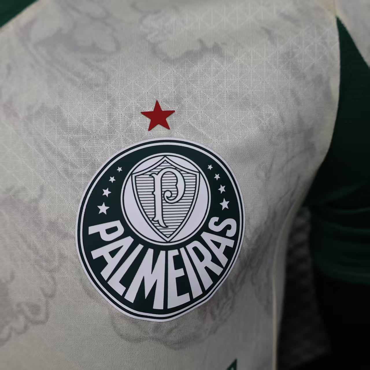Camisa do Palmeiras 2025/26 Puma Jogador Masculina