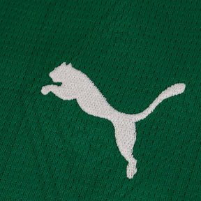 Camisa do Palmeiras 25/26 Puma Torcedor Feminina