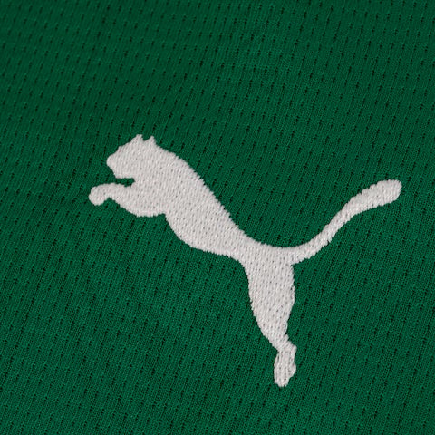 Camisa do Palmeiras 25/26 Puma Torcedor Feminina