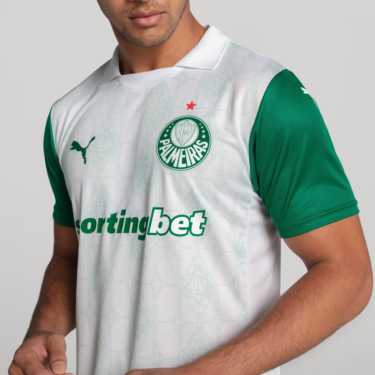 CAMISA PALMEIRAS 2025/26 II JOGADOR