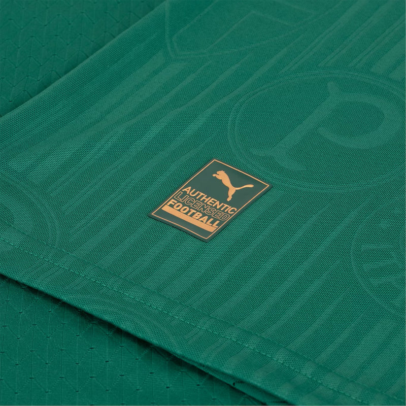 Camisa do Palmeiras 2024/25 Puma Jogador Masculina