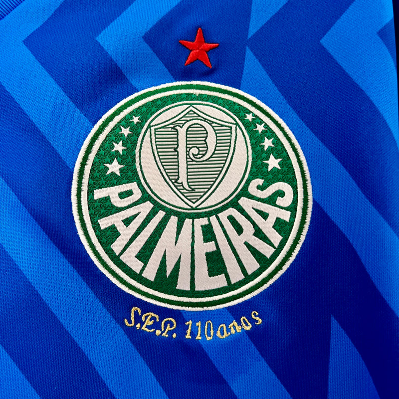 Camisa do Palmeiras 2024/25 Puma Torcedor Masculina