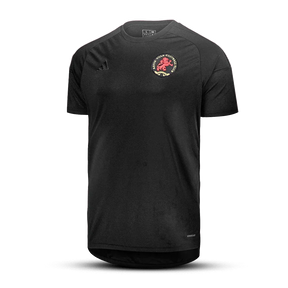 Camisa do Aston Villa “ 50th Anniversary x Game of Thrones” 2025
