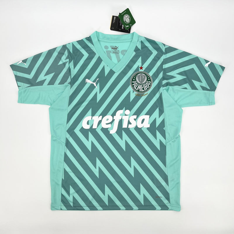 Camisa do Palmeiras Goleiro 2024/25 Puma Torcedor Masculina