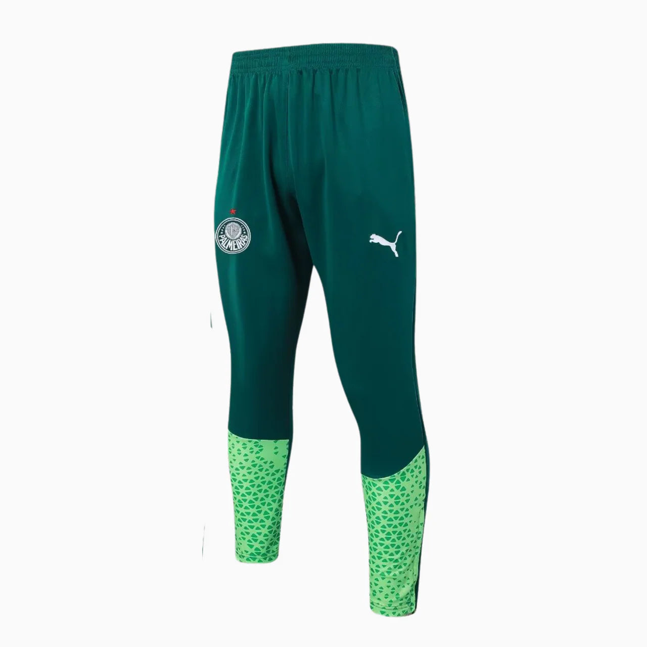 CONJUNTO DE TREINO PALMEIRAS 2024/25 I – MASCULINO