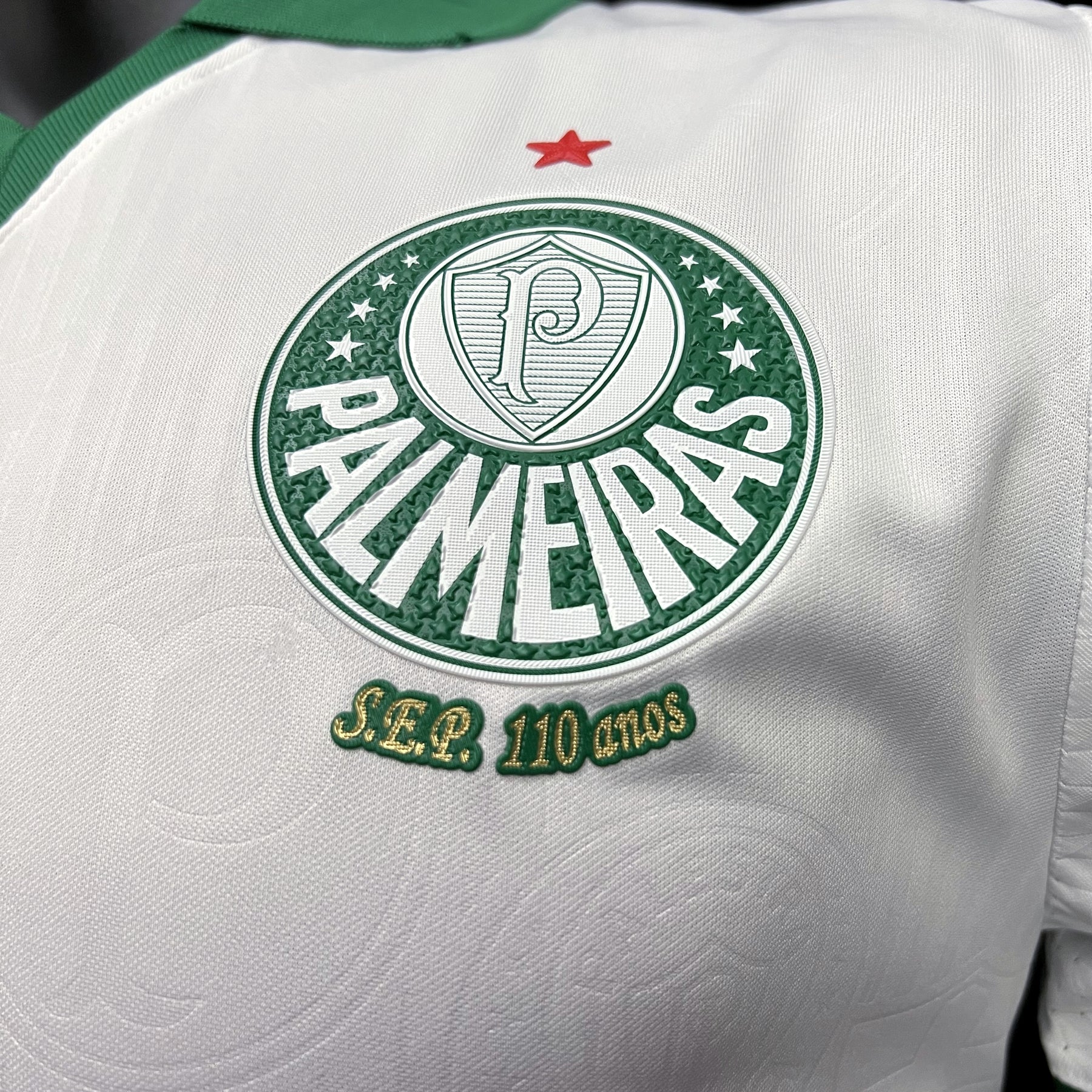 Camisa do Palmeiras 2024/25 Puma Jogador Masculina