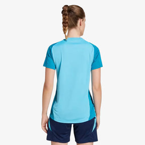 Camisa Flamengo 25/26 Treino Adidas Feminina