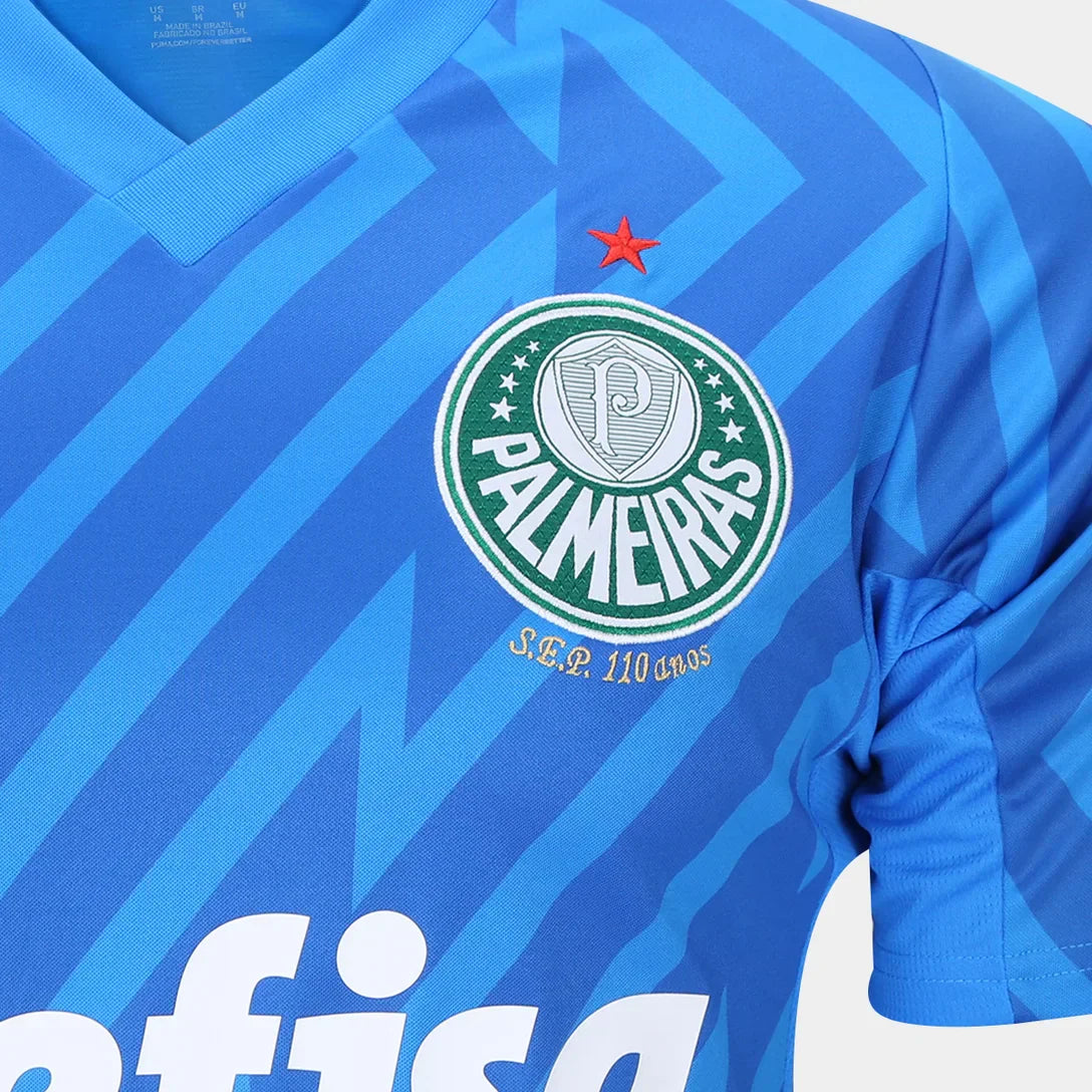 Camisa do Palmeiras 2024/25 Puma Torcedor Masculina