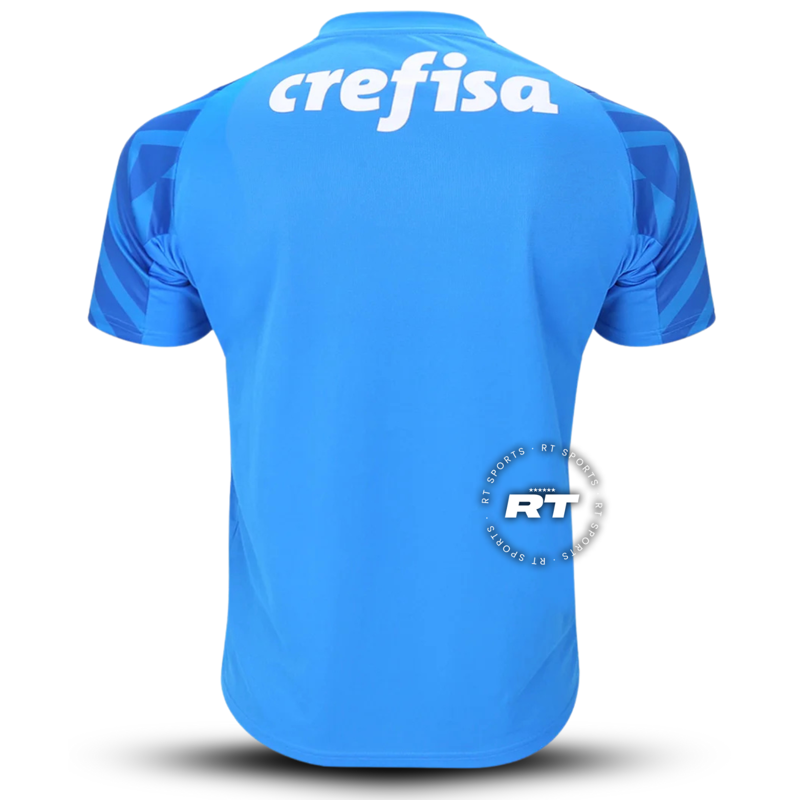 Camisa do Palmeiras 2024/25 Puma Torcedor Masculina