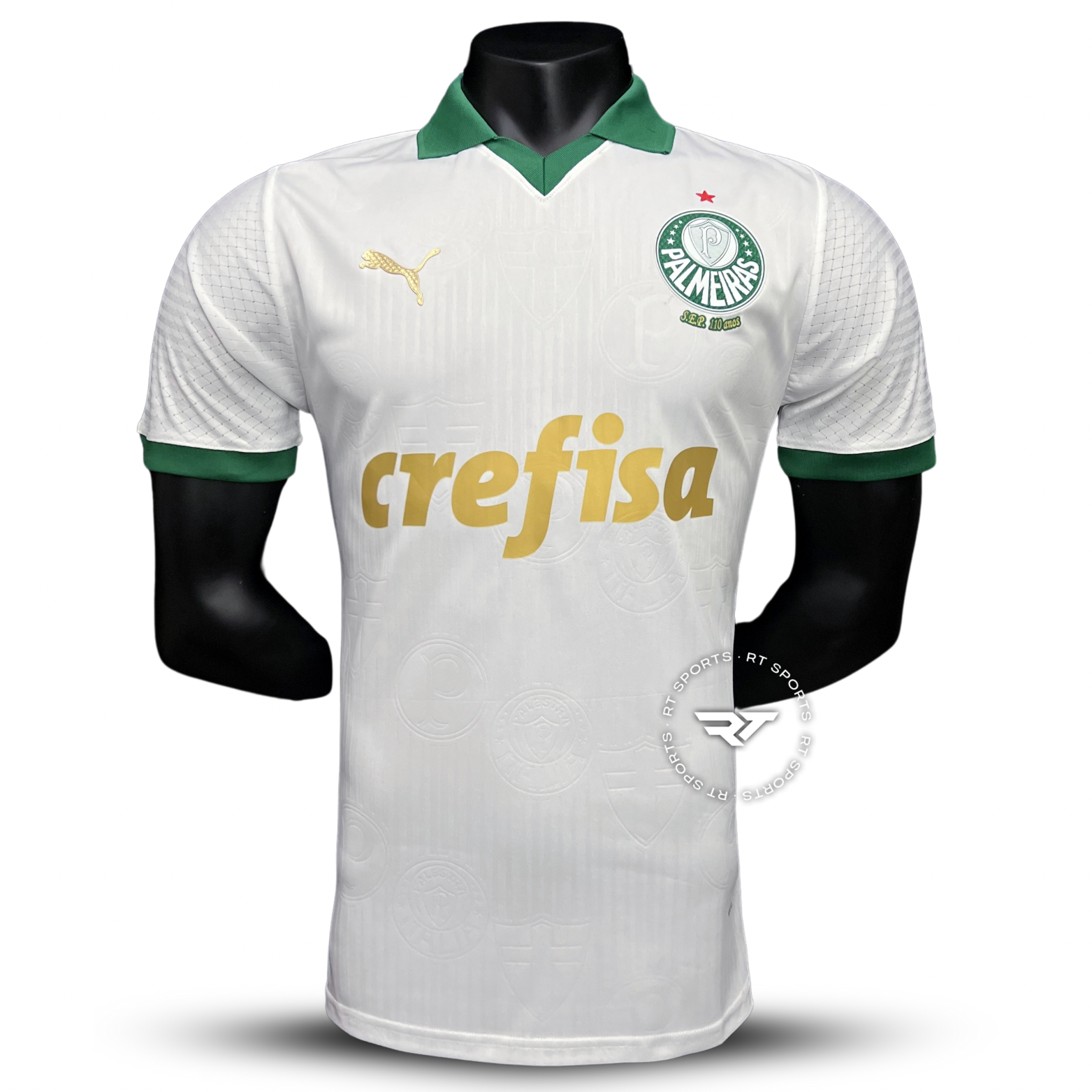 Camisa do Palmeiras 2024/25 Puma Jogador Masculina