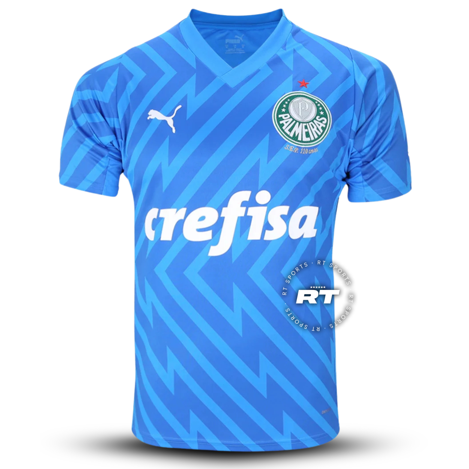 Camisa do Palmeiras 2024/25 Puma Torcedor Masculina