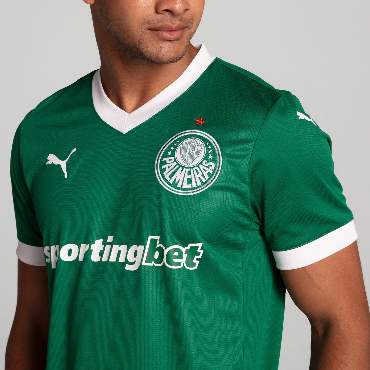 Camisa Palmeiras Home 25/26 Torcedor Puma Masculina